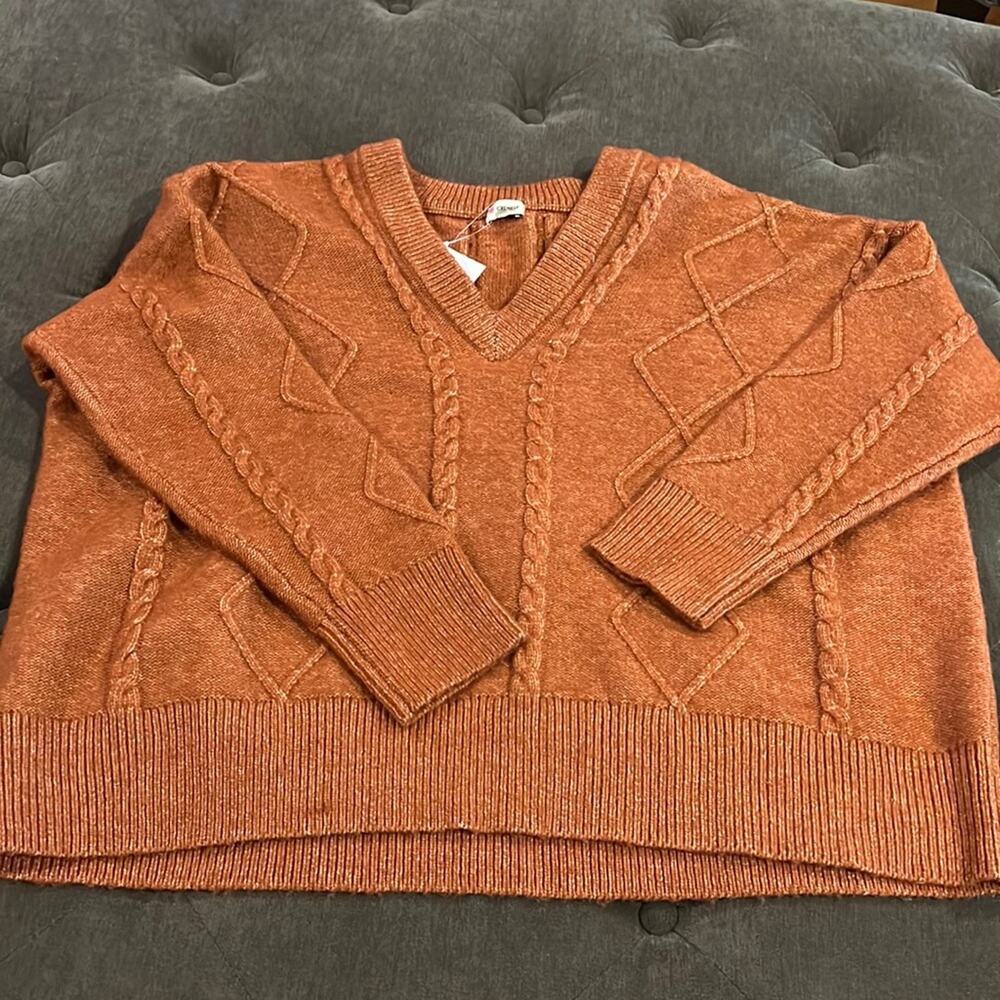Cremieux poly/wool over size sweater NWT size small